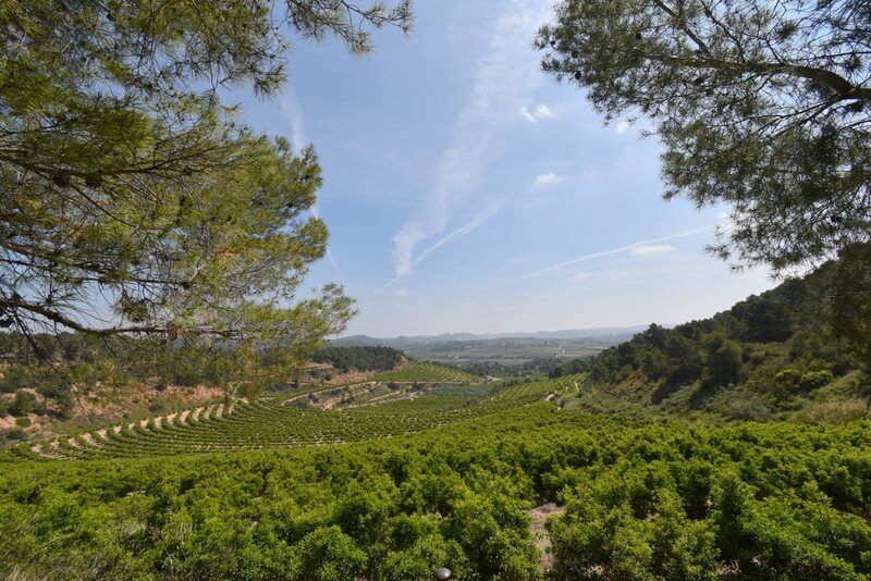 Retirement retreat in Valencia